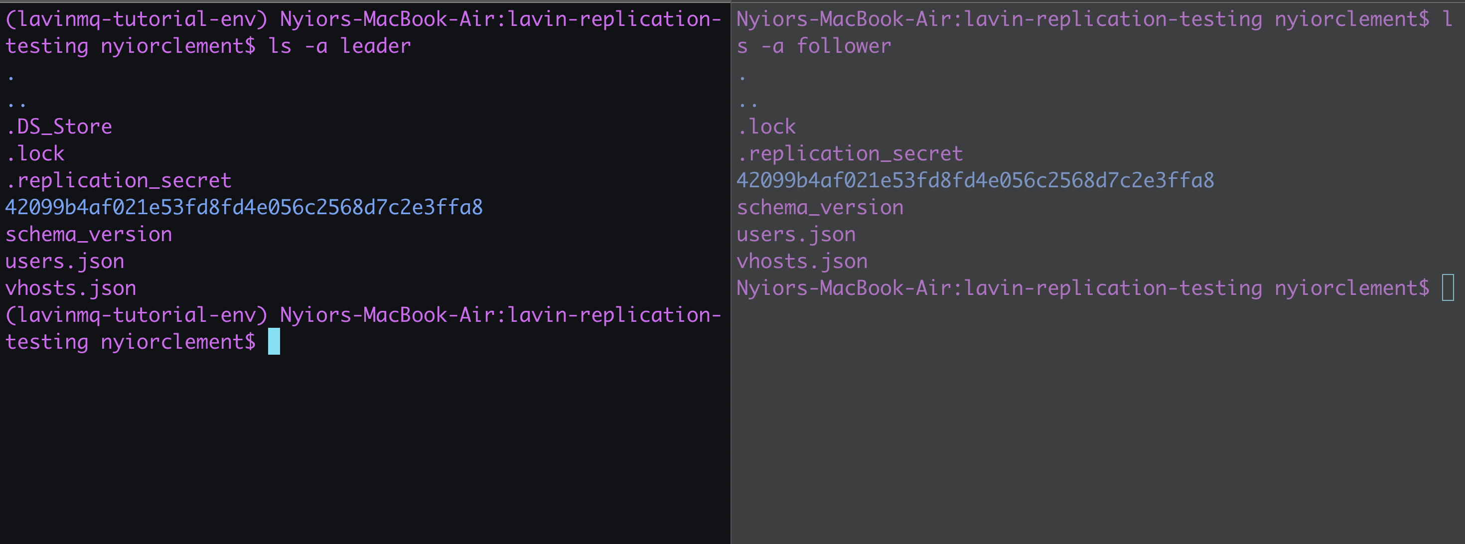 Leader and follower data synched